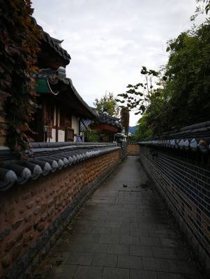 22448603_10210286753235760_674844819560684974_n