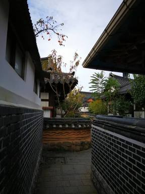 22449595_10210286752595744_3868819312137927366_n