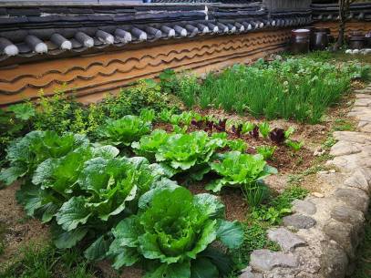 22490200_10210286751795724_3457641265606225584_n