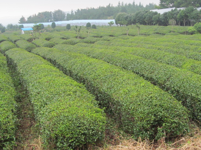 korea-trip-x-2-2016-762