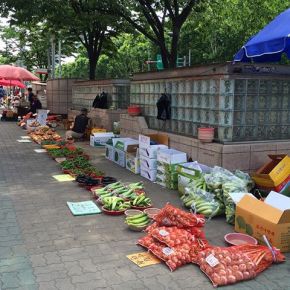 Image result for mullae vegetable market