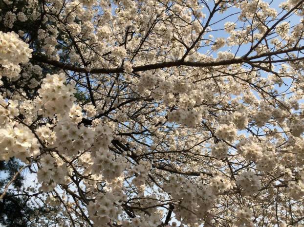 11070987_10204113961519825_1560694465300520350_n