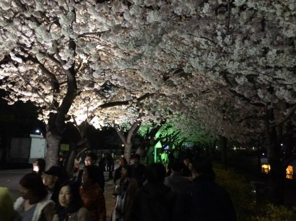 11168458_10204114764379896_2572473386921092069_n