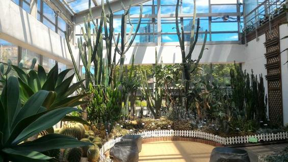 14088435_10207084556822851_1491093582749351291_n (1)