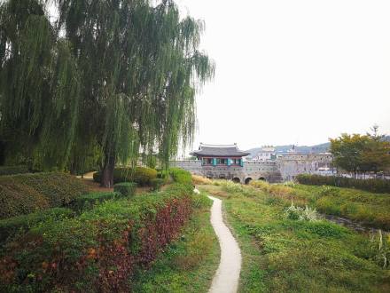 24900045_10210685385001305_6918417536181388942_n