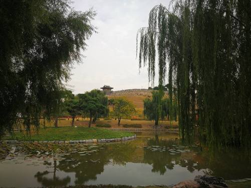 25348592_10210685387281362_3016791727766589590_n