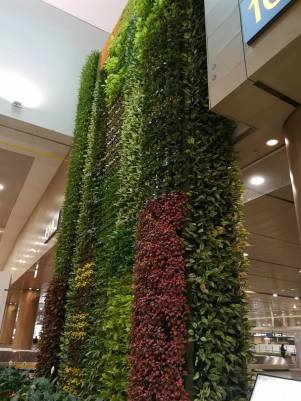 22448112_10210259740960470_7175636349440188483_n