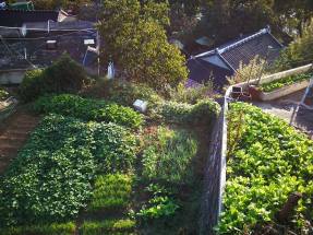 22449785_10210286764596044_7873910736765471322_n