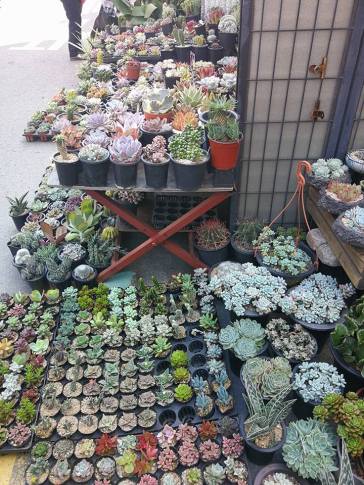 22490108_10210272755085815_6875258202389772415_n