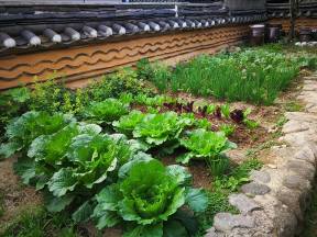 22490200_10210286751795724_3457641265606225584_n (1)