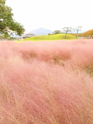 22688102_10209765627887001_6817822733038179850_n