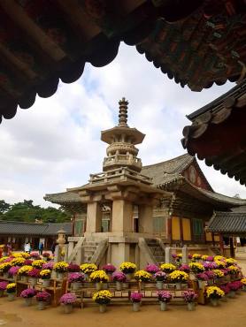 22688359_10209765611126582_2412487998929811708_n