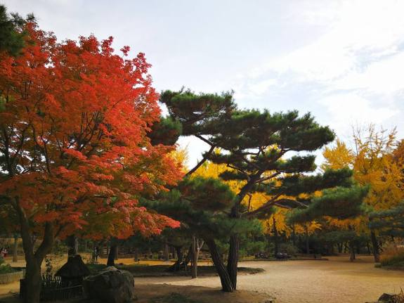 24900126_10210685374321038_3742234762563817404_n