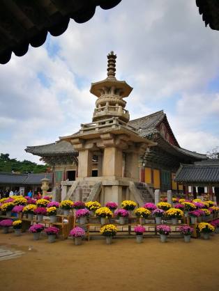 24909668_10210685398721648_1385037712276854048_n