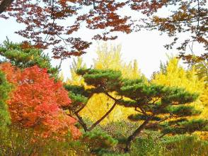 24910012_10210685323879777_6025489326579856866_n