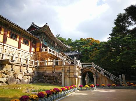 24991410_10210685365360814_5561379314433244152_n