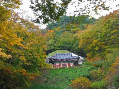 24993087_10210685488283887_8077572326351176353_n