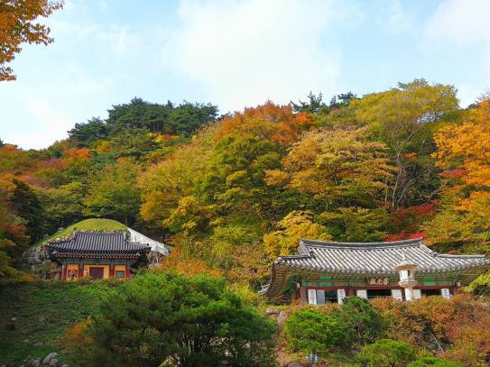 24993224_10210685490563944_1108393801341214794_n