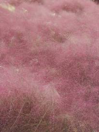 25152177_10210685501764224_8378881127157258668_n