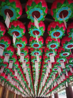 25158277_10210685401401715_5441299428170796664_n