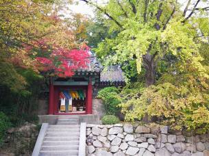 25289577_10210685542605245_7445830275230127171_n