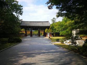 25289628_10210685360120683_4523980640854695388_n