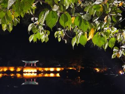 24899726_10210685415562069_3111135203250474850_n