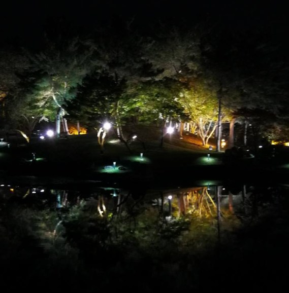 24900188_10210685415242061_8468336249578232026_n