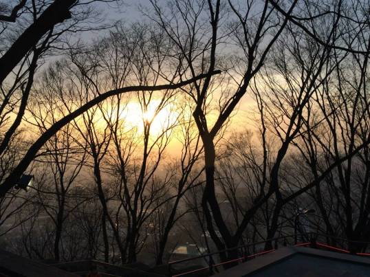 11072527_10204113802635853_5059706870034777516_n