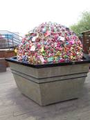 11168458_10204113756034688_2971256897432398811_n