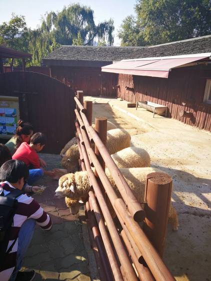 24900061_10210671836742607_1896995983730633143_n