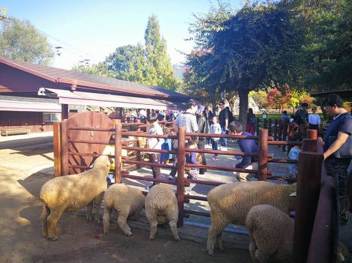 24909637_10210671837102616_4868849043855353389_n