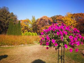 24910075_10210671831342472_1611511522219611299_n