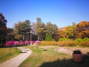 24991164_10210671830942462_4707084845211787745_n