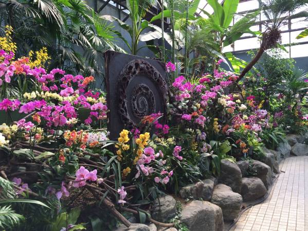 11149529_10204118386030435_8809581835602055125_o