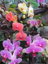 11150455_10204117962819855_8496279653216770065_n