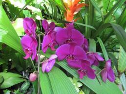 11150890_10204117962299842_3836556455793716490_n