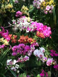 11157498_10204118399910782_660747097720410319_o