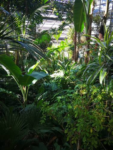 24852461_10210671792421499_4483407971191881482_n