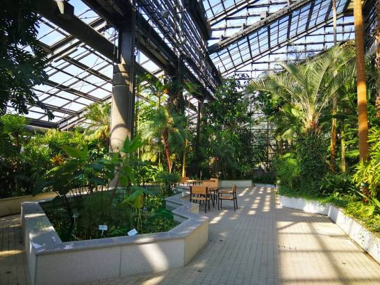 24852665_10210671793501526_4389638800344844267_n