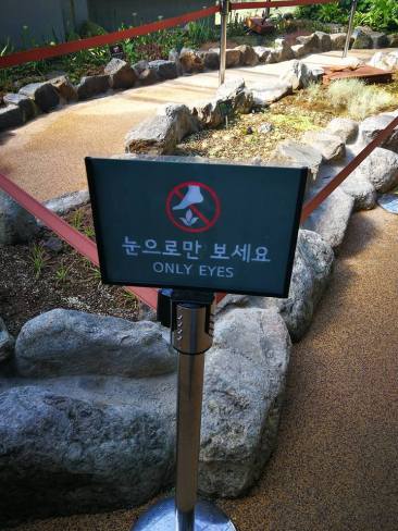 24862143_10210671802221744_2345366135450364357_n