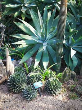 24993102_10210671787421374_708517494131296225_n