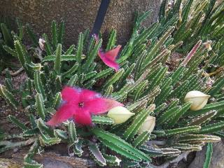 25151913_10210671789221419_5745973992701051866_n