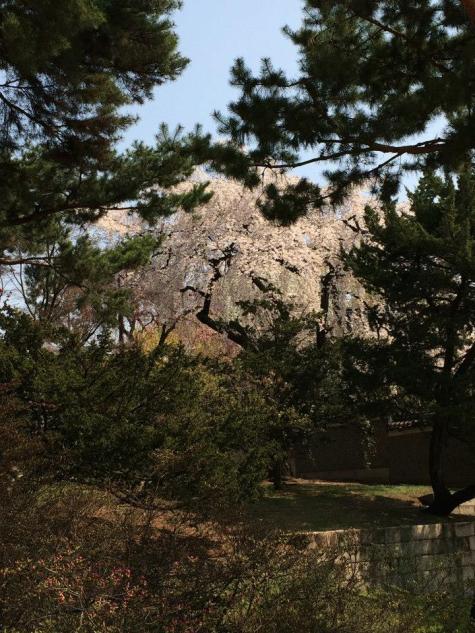 10410182_10204115640201791_55949511945467468_n