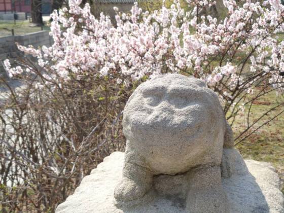 10609609_10204114736019187_6433612949173410515_n