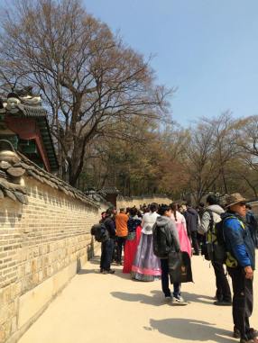 11013464_10204115638001736_2020035968588755801_n