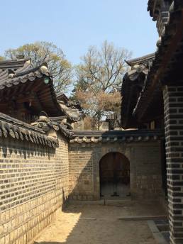 11081280_10204115642041837_5354468045013411464_n