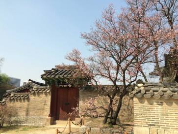 11137172_10204115639641777_336638716179111367_n