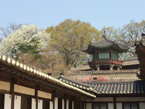 11138528_10204115641641827_6336085611665363239_n