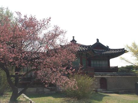 1526859_10204115638721754_2094901730057844841_n